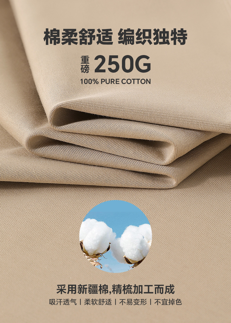 250g Extra-Heavyweight Cotton Short-Sleeve T-Shirt